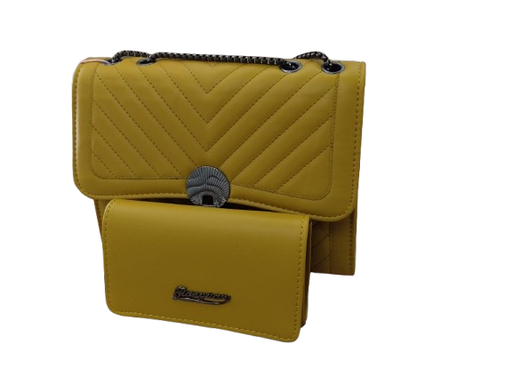 Bag set with Purse